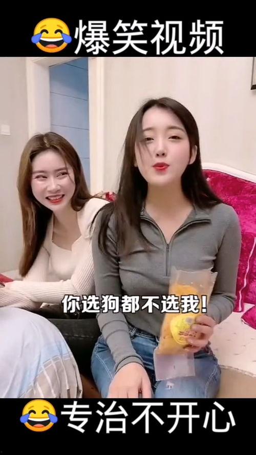 爆料哈哈的视频大全在线观看,海量搞笑瞬间，在线观看乐翻天